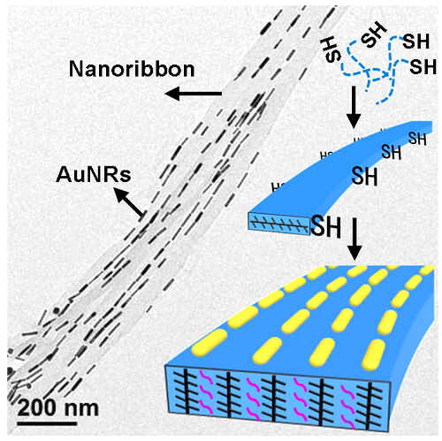 f69bf24da39a7fe9b1947e4c571e7351.jpg 98cffc21-95c6-411e-a422-c3c979f4a697.jpg